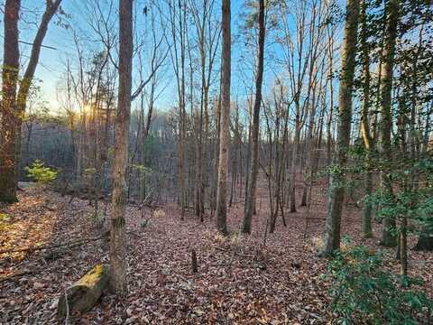 Lot 390 Walhalla Court, Ellijay, GA 30540