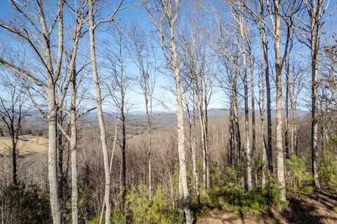 Lot 89 Thirteen Hundred, Blairsville, GA 30512