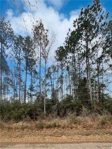 Lot 2 PINEWOOD Road, Bogalusa, LA 70427