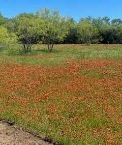 293 Kemp Road, Weatherford, TX 76087