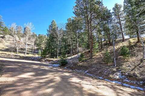 186 Alpine Drive, Cripple Creek, CO 80813