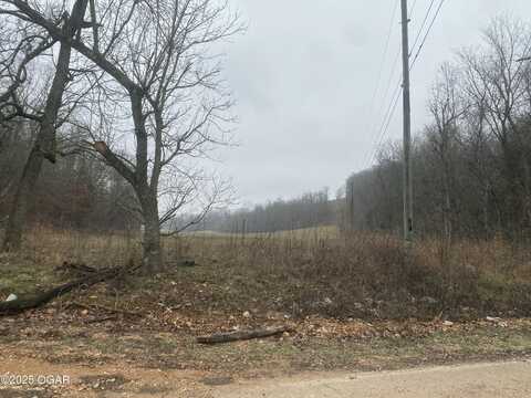 000 Farm Road 2180, Cassville, MO 65625