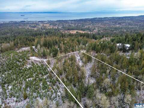 0 E Angeles Ridge Rd, Port Angeles, WA 98362