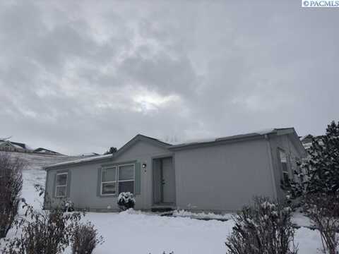 214 NW Lancer Lane, Pullman, WA 99163