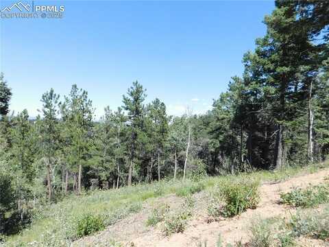 13670 Spruce Creek Circle, Larkspur, CO 80118