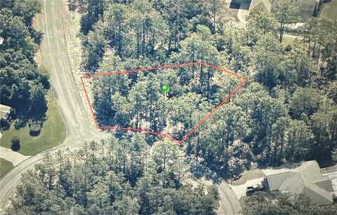 7 Drypetes Court W, Homosassa, FL 34446
