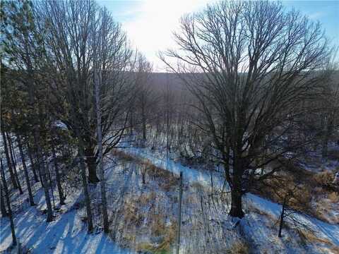 300th Avenue, Holcombe, WI 54745