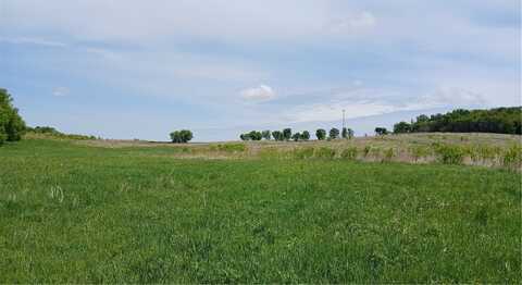 40 Acres 82nd St, Bloomer, WI 54724
