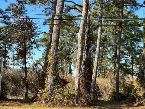 244A1 RIDGE RD, CHINCOTEAGUE, VA 23336