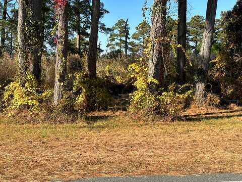 244A2 RIDGE RD, CHINCOTEAGUE, VA 23336