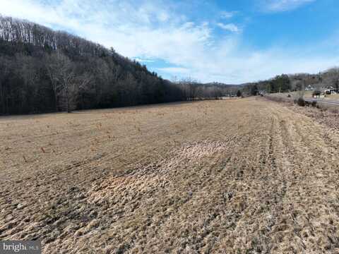 14.46 ACRES NORTHWESTERN PIKE, SHANKS, WV 26761