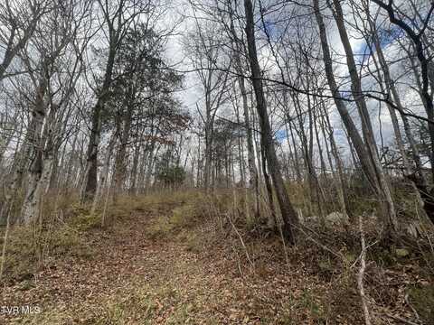 Tbd Renee Drive, Johnson City, TN 37601