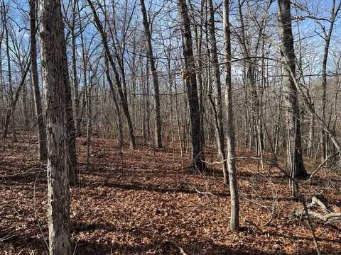 Lot 38 Crystal Pointe, MONTEREY, TN 38574