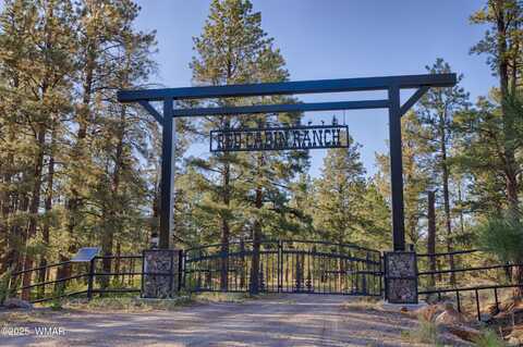 Tbd Red Cabin Ranch LOT 2, Vernon, AZ 85940