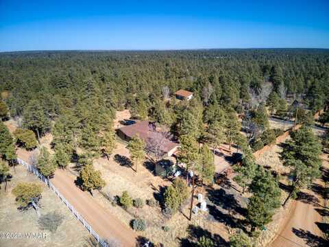 2024 Ponderosa Trail, Overgaard, AZ 85933