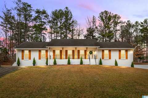 2156 ROCK MOUNTAIN LAKE DRIVE, Mc Calla, AL 35111