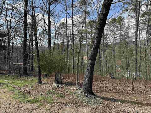 255 Gilmer Lane, Hot Springs, AR 71901