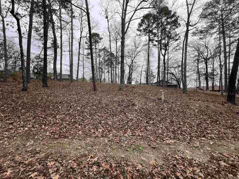 5 Gaza Lane, Hot Springs Village, AR 71909