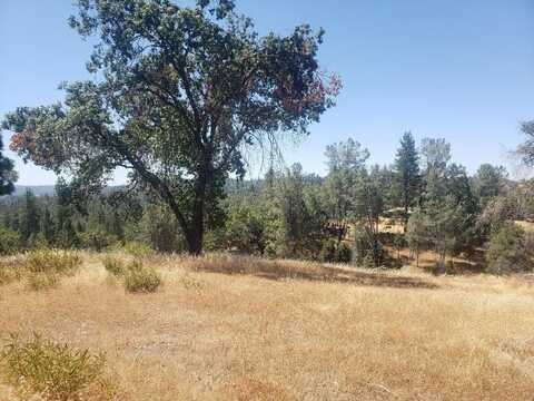 390 Red Fox Road, Mountain Ranch, CA 95246