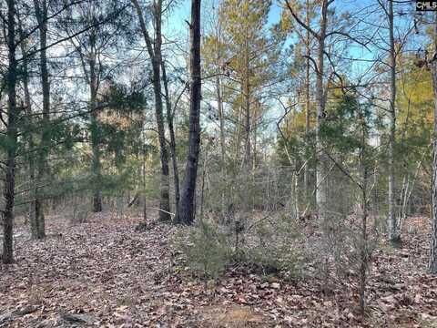 TRACT 2 SC Highway 219, Pomaria, SC 29126