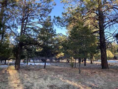 Lot 324 Bear Cub Drive, Ridgway, CO 81432