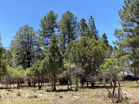Lot 324 Bear Cub Drive, Ridgway, CO 81432