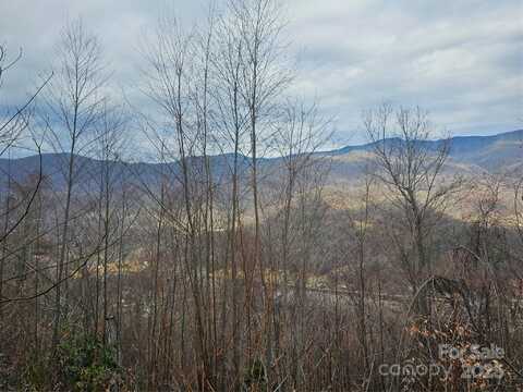 LT1 Varsity Drive, Sylva, NC 28779