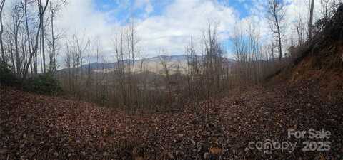 LT1 Varsity Drive, Sylva, NC 28779