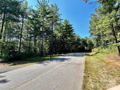60 Kingfisher Trace unit: 107, Nebo, NC 28761