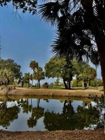 16 Twin Oaks Lane Lane, Isle of Palms, SC 29451