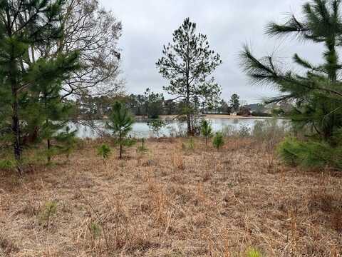 00 Mallard Pointe Drive Lot # 90, Douglas, GA 31535