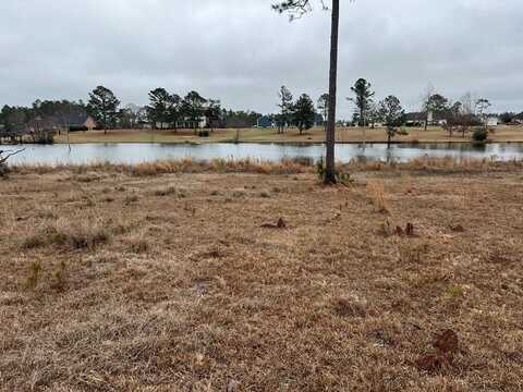 00 Mallard Pointe Drive Lot # 85, Douglas, GA 31535