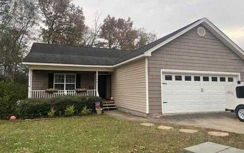 140 Summit Lane, Carnesville, GA 30521