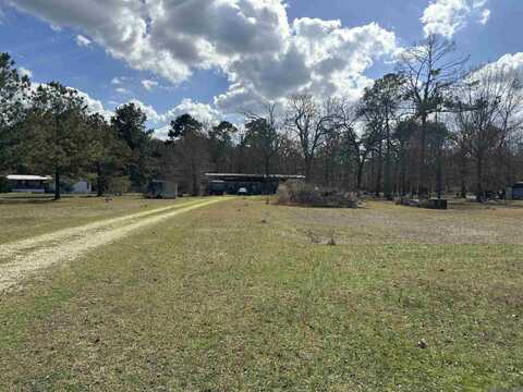 13871 John Genola Rd, Clinton, LA 70722