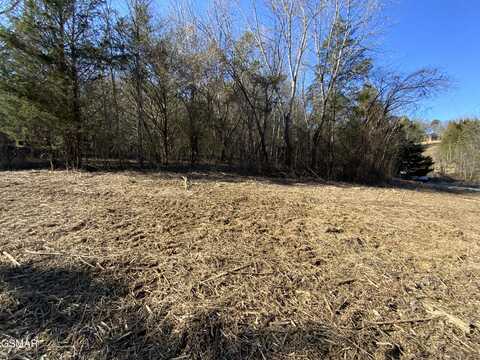 Lot 1 McCarter Hollow Road, Sevierville, TN 37862