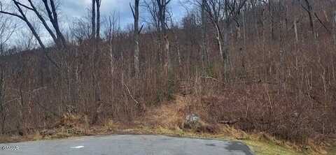 703 Topside Road, Gatlinburg, TN 37738
