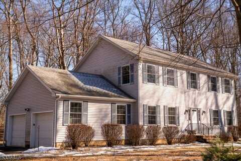 5 Dalland Rd, Roxbury Township, NJ 07876