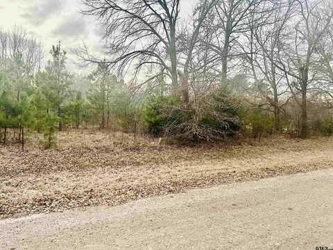 19790 County Road 2343, Troup, TX 75789