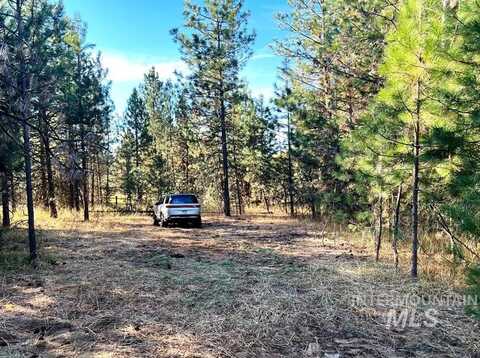 Tbd 5 Elo Road, McCall, ID 83638