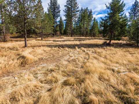 Tbd Hatter Creek, Princeton, ID 83857