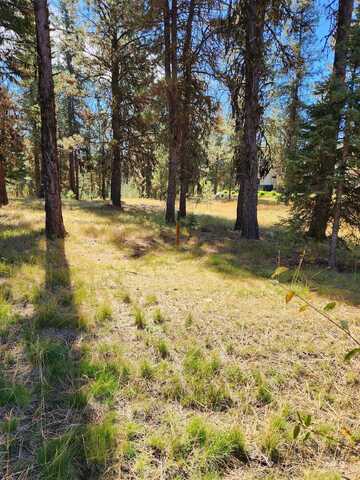 15 Vernon Ct, McCall, ID 83638
