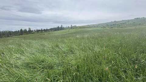 Tbd Highway 13 Parcel 4, Grangeville, ID 83530