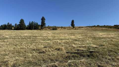 Tbd Highway 13 Parcel 4, Grangeville, ID 83530