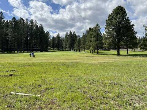 Tbd Village Loop Lot 33, New Meadows, ID 83654