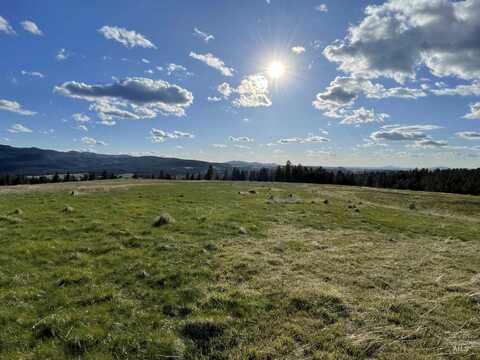 1204 Morris Road, Princeton, ID 83857