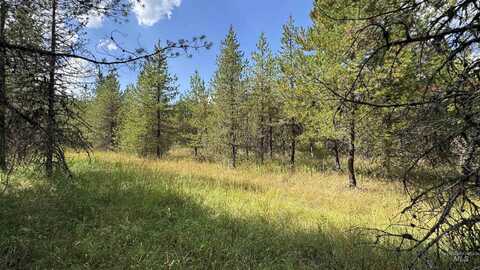 Parcel 19 Band Mill Loop Rd, Orofino, ID 83544