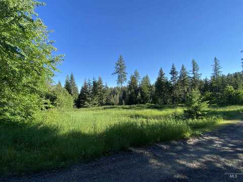 Tbd Buckboard Lane, Waha, ID 83501