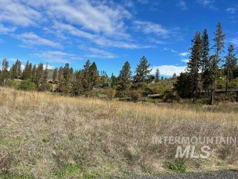 Tbd Lot 1 Elk Hill Road, Kamiah, ID 83536