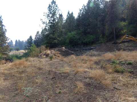 21650 Antler Lane, Lenore, ID 83503