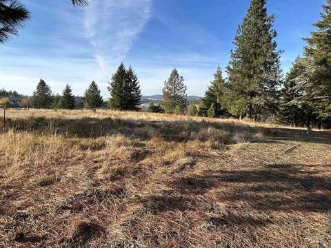 30478 W Juniper Cir, Worley, ID 83876